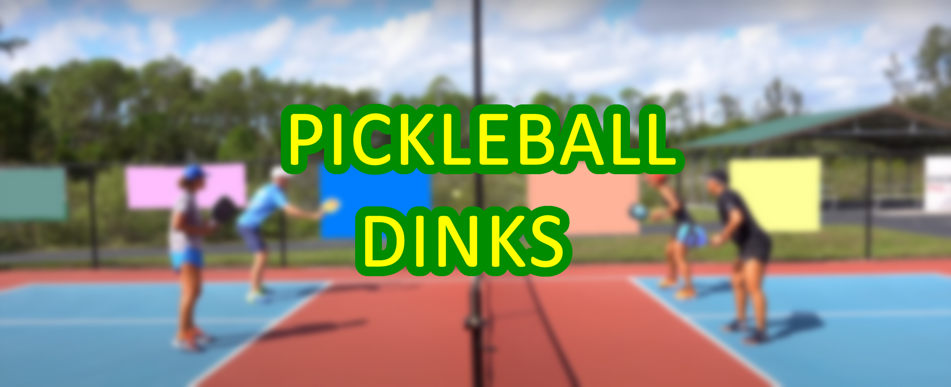 pickleball dink shot